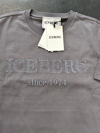 ICEBERG 31873