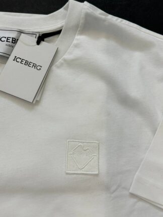 ICEBERG 31876