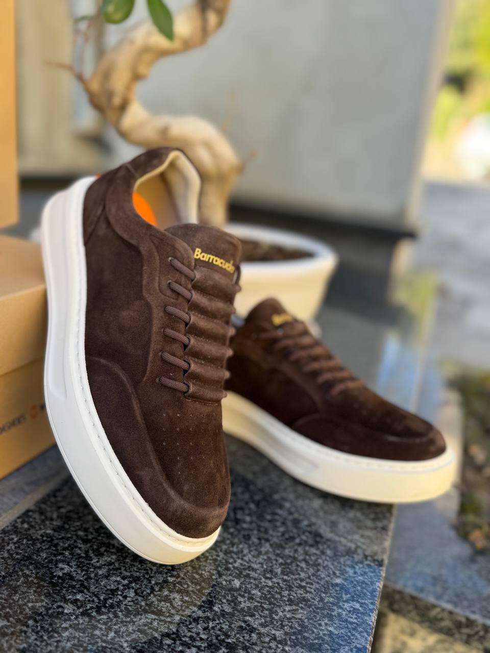 Roberto SERPENTINI 41837