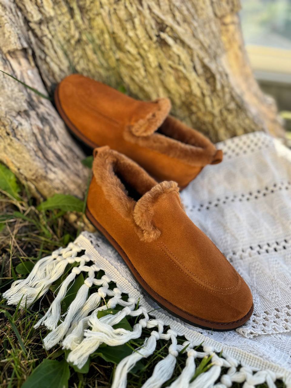 Roberto SERPENTINI 42062