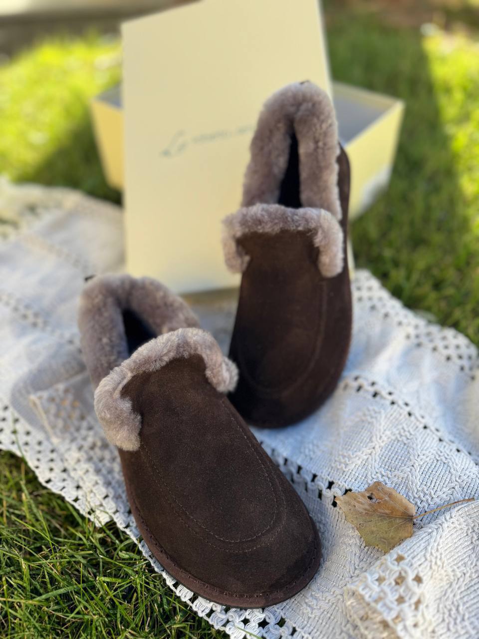 Roberto SERPENTINI 42065