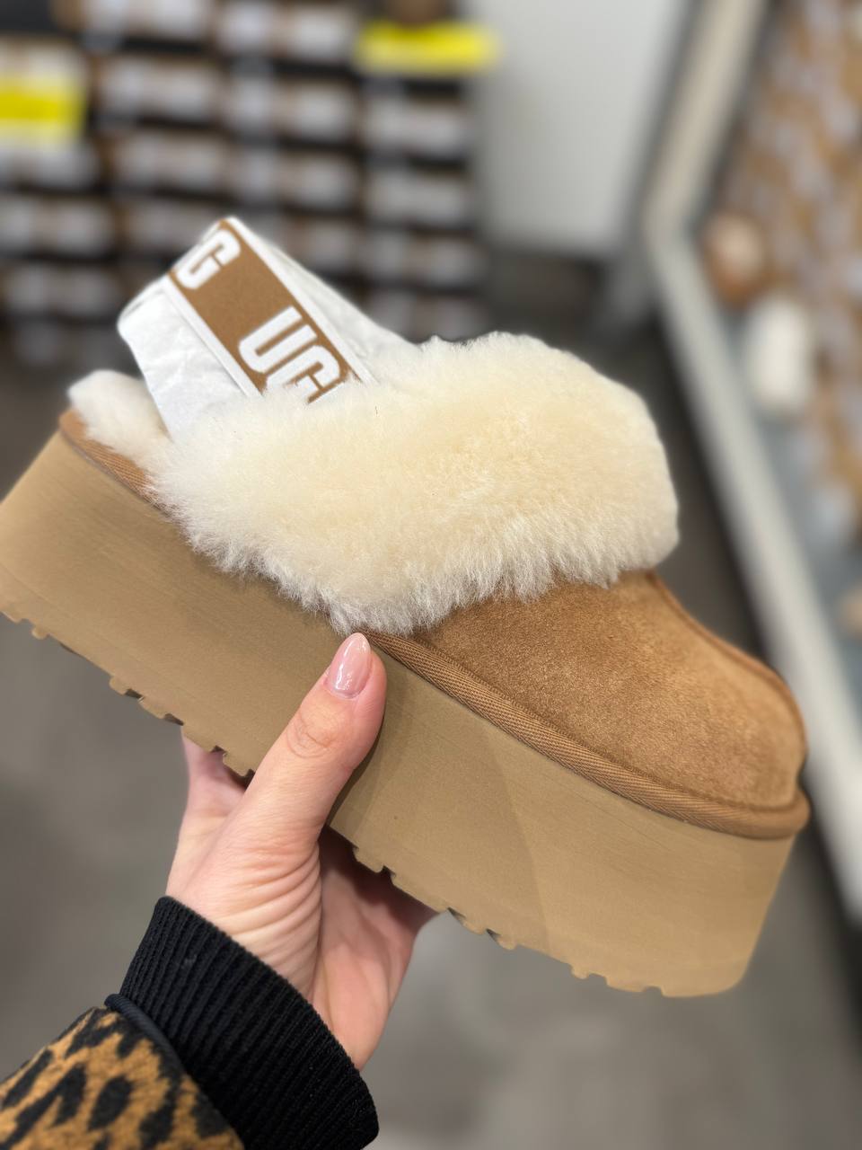 Roberto SERPENTINI 42107