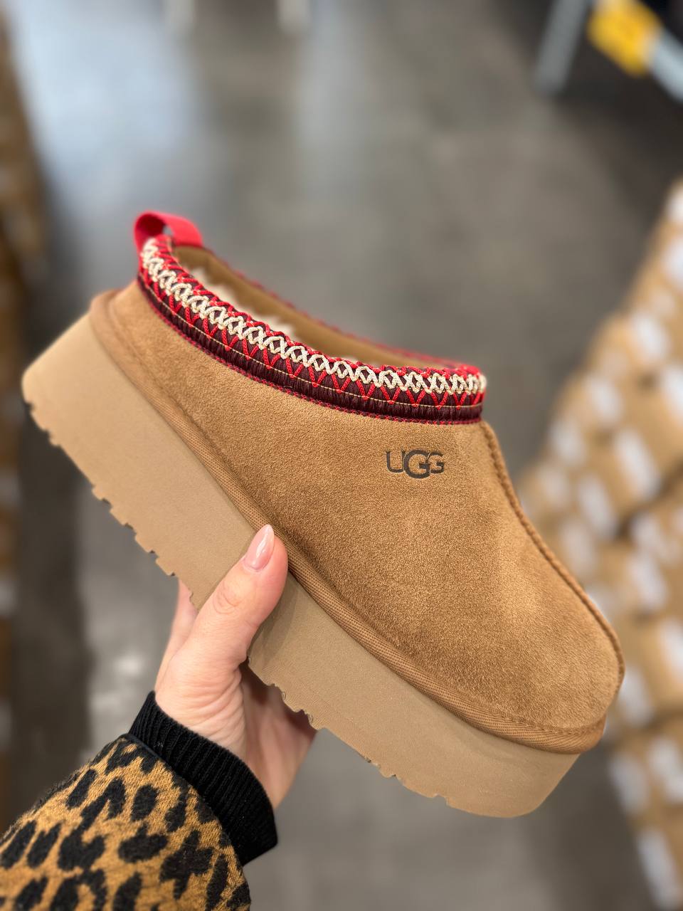 Roberto SERPENTINI 42118