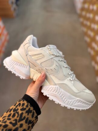 Roberto SERPENTINI 42122