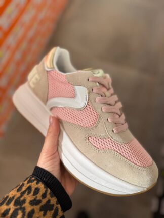 Roberto SERPENTINI 42132