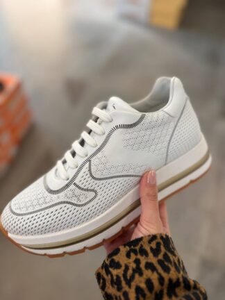 Roberto SERPENTINI 42137