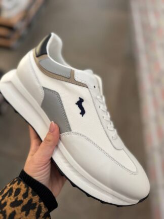 Roberto SERPENTINI 42157