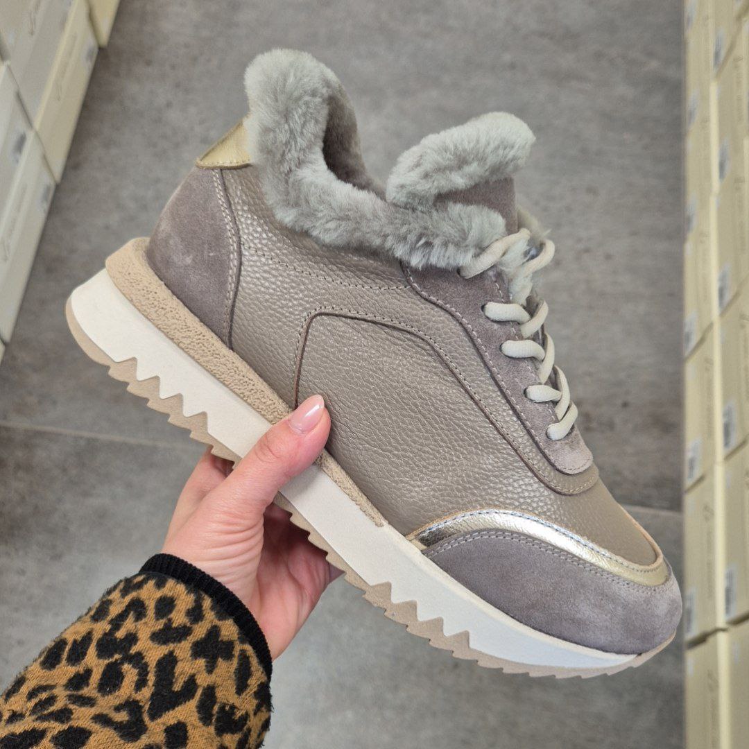 Roberto SERPENTINI 42212