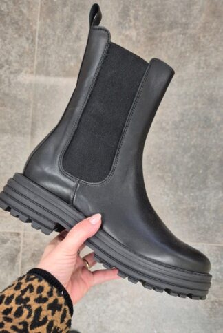 Roberto SERPENTINI 42247