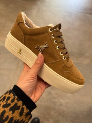 Roberto SERPENTINI 42298