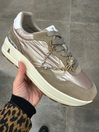 Roberto SERPENTINI 42303