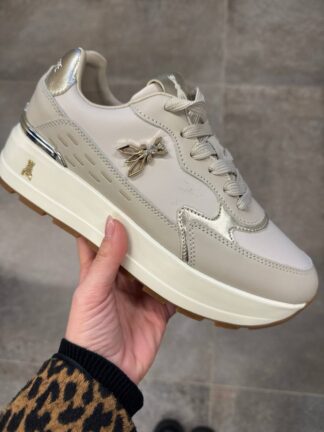 Roberto SERPENTINI 42305