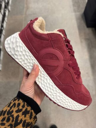 Roberto SERPENTINI 42341