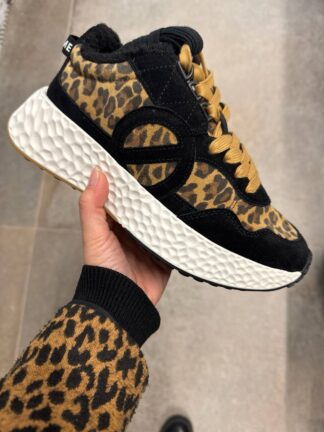 Roberto SERPENTINI 42343