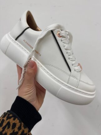 Roberto SERPENTINI 42353