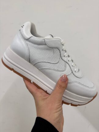 Roberto SERPENTINI 42354