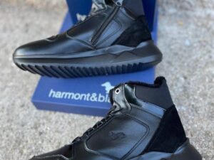 Roberto SERPENTINI 43360