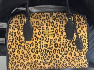 Roberto SERPENTINI 43823