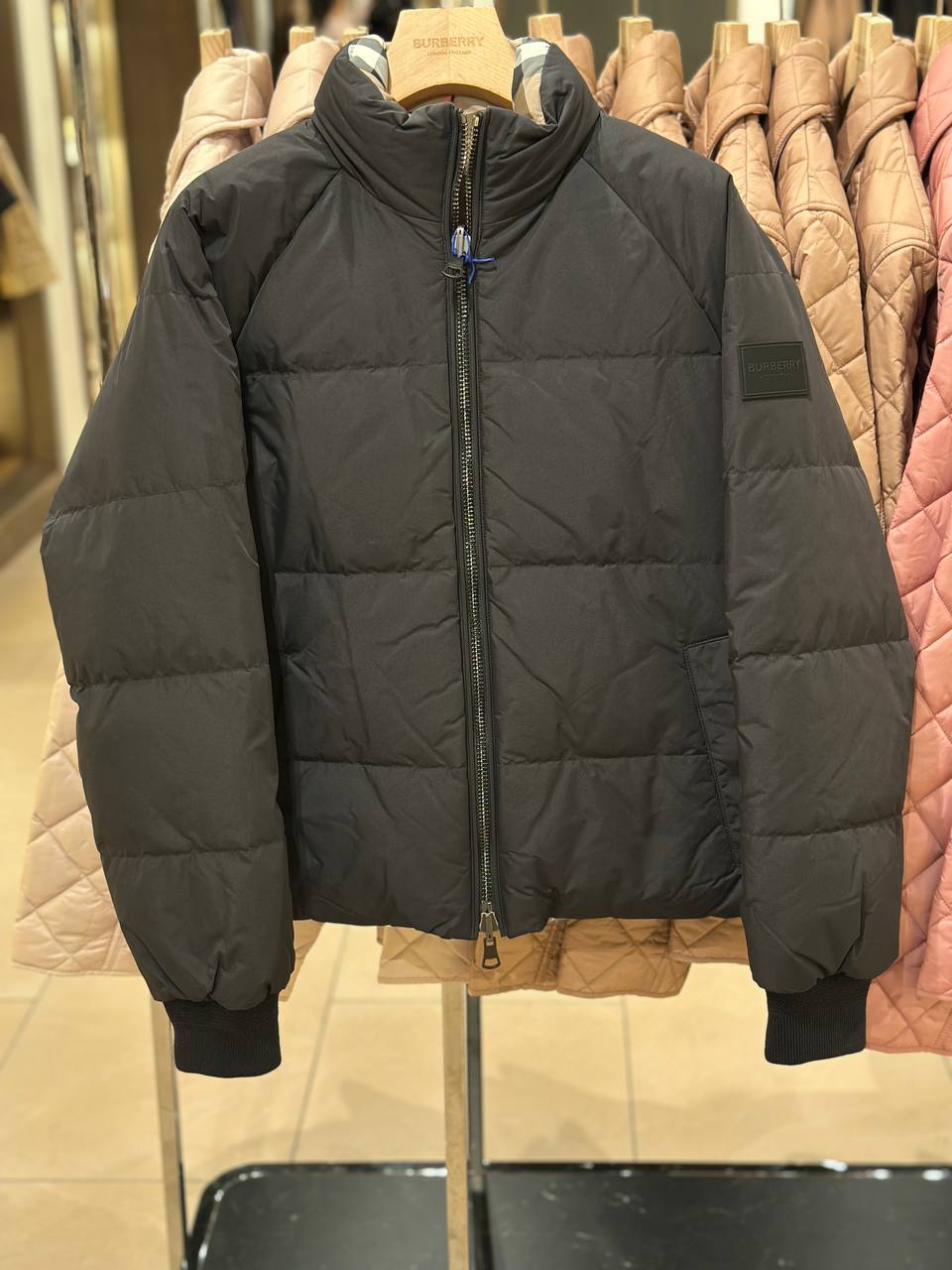 BURBERRY Outlet 6490