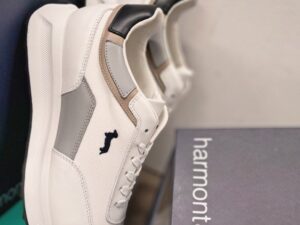 Roberto SERPENTINI 48984