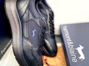 Roberto SERPENTINI 49009