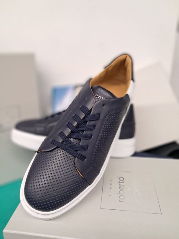 Roberto SERPENTINI 50300