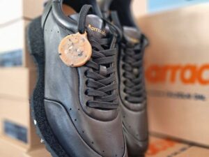 Roberto SERPENTINI 58045