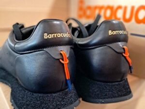 Roberto SERPENTINI 58047