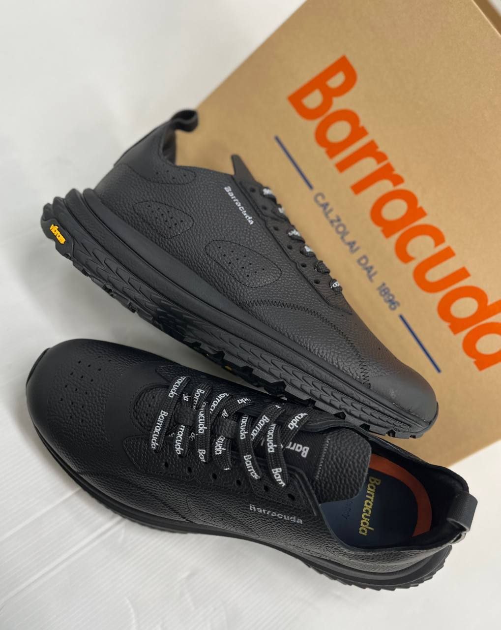 Roberto Serpentini 74006