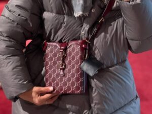 Сумка Gucci GG Monogram