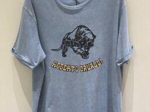 Roberto Cavalli Outlets 12096