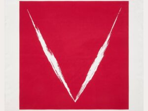 Шелковый платок Valentino Valentino Outlet 2