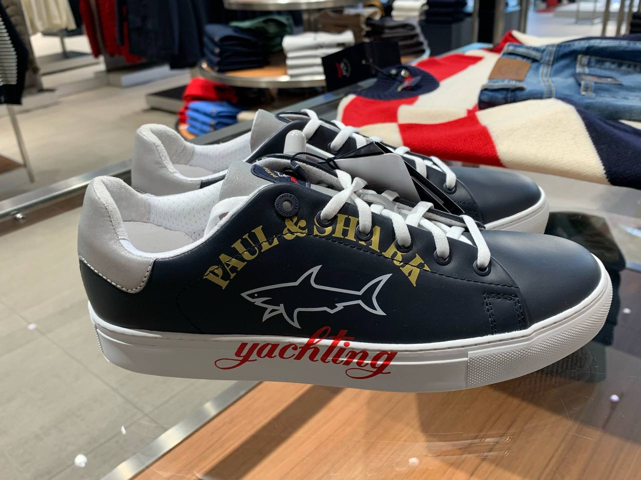 Кеды мужские Paul Shark Paul